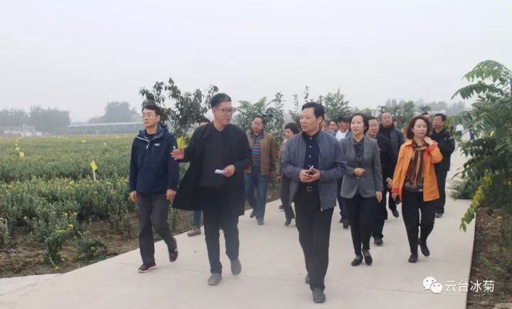 云臺冰菊基地發生了什么？一批批領導專家團隊前來！