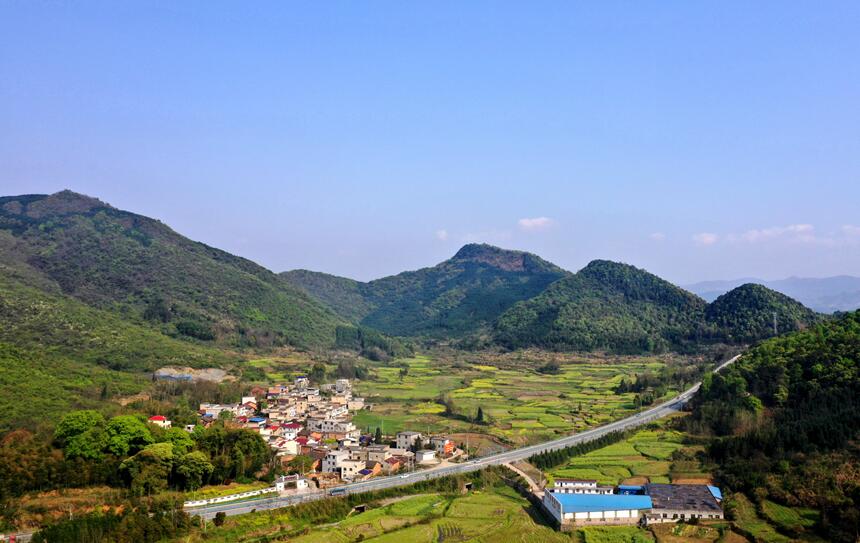 QQ截圖20190530151516.jpg