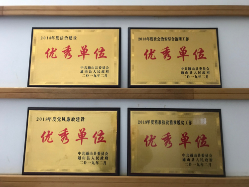 受表彰獎牌Cache_23c8f3dd1fe64c1d..jpg